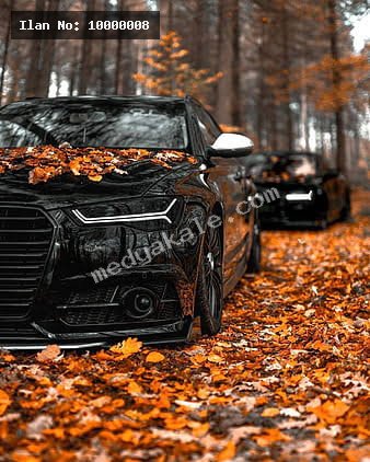 ddfwfgregerg - 2. fotoğraf